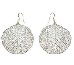 ecoaretes