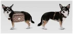 gucci-dog-backpack