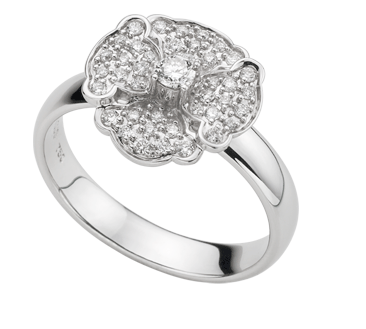Anillos